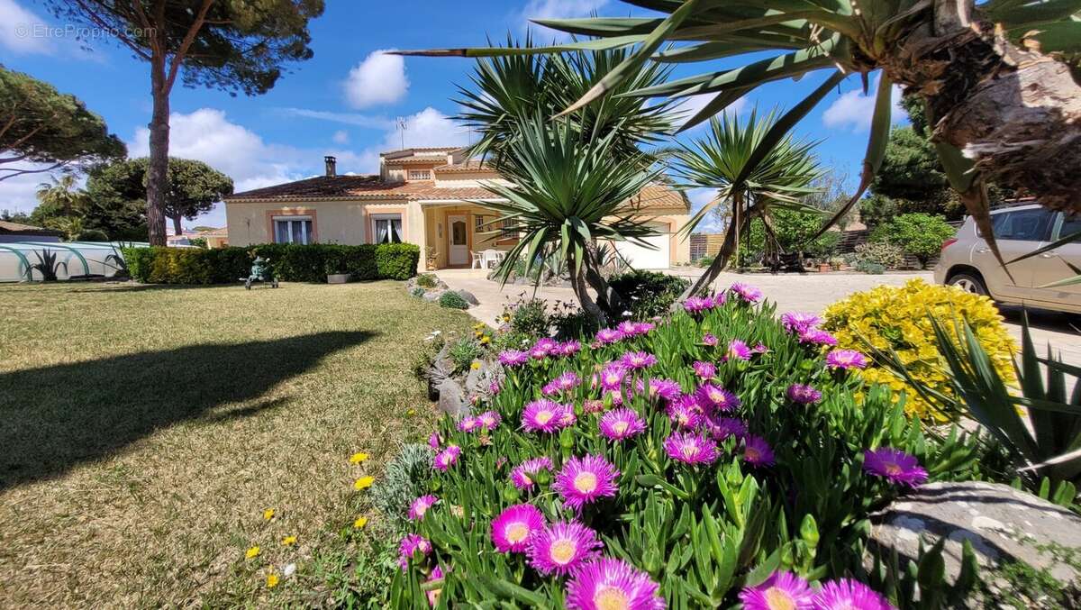 Maison à AGDE