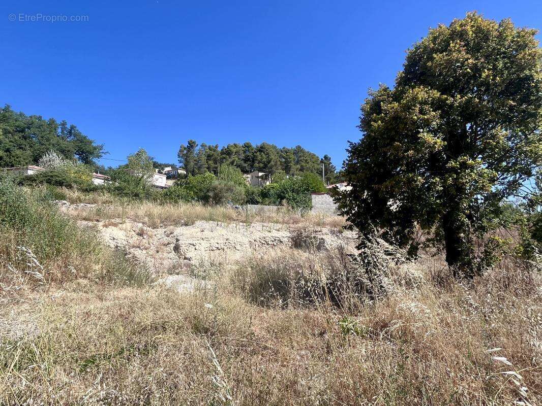 Terrain plat et viabilisé - 690 m2 - Baix - photo 4