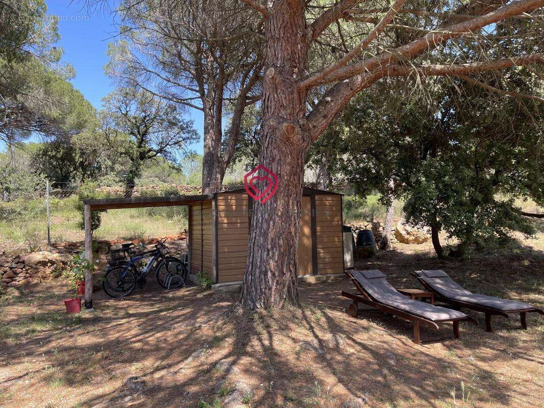 Propriété de campagne avec piscine, maison d'amis et oliveraie au cœur des Corbières - photo 20