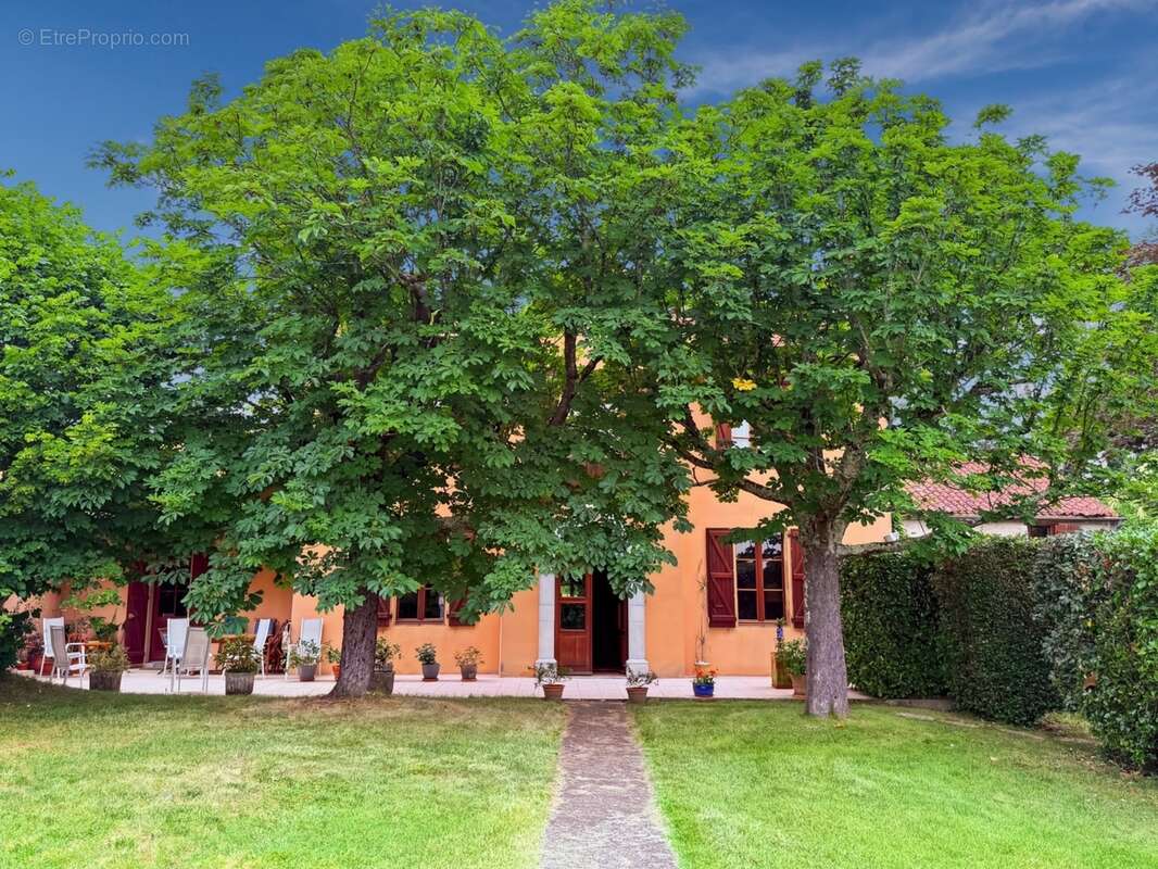 Propriété 358 m2 à vendre -avec 7700 m2 de parc - Maison 8 pièces de 234 m2, gîte de 124 m2 et piscine proche de MARCIAC (32) - photo 2