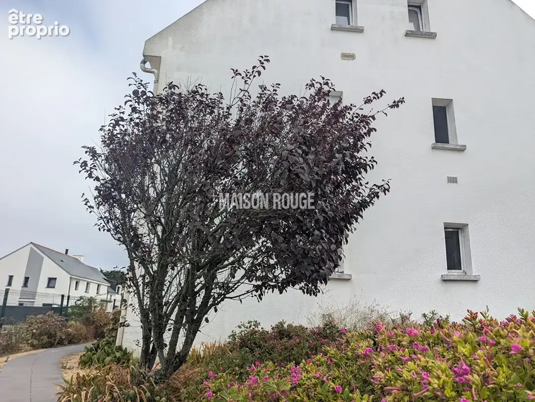 Appartement à Saint-Gildas-de-Rhuys, à deux pas de la plage! - photo 7