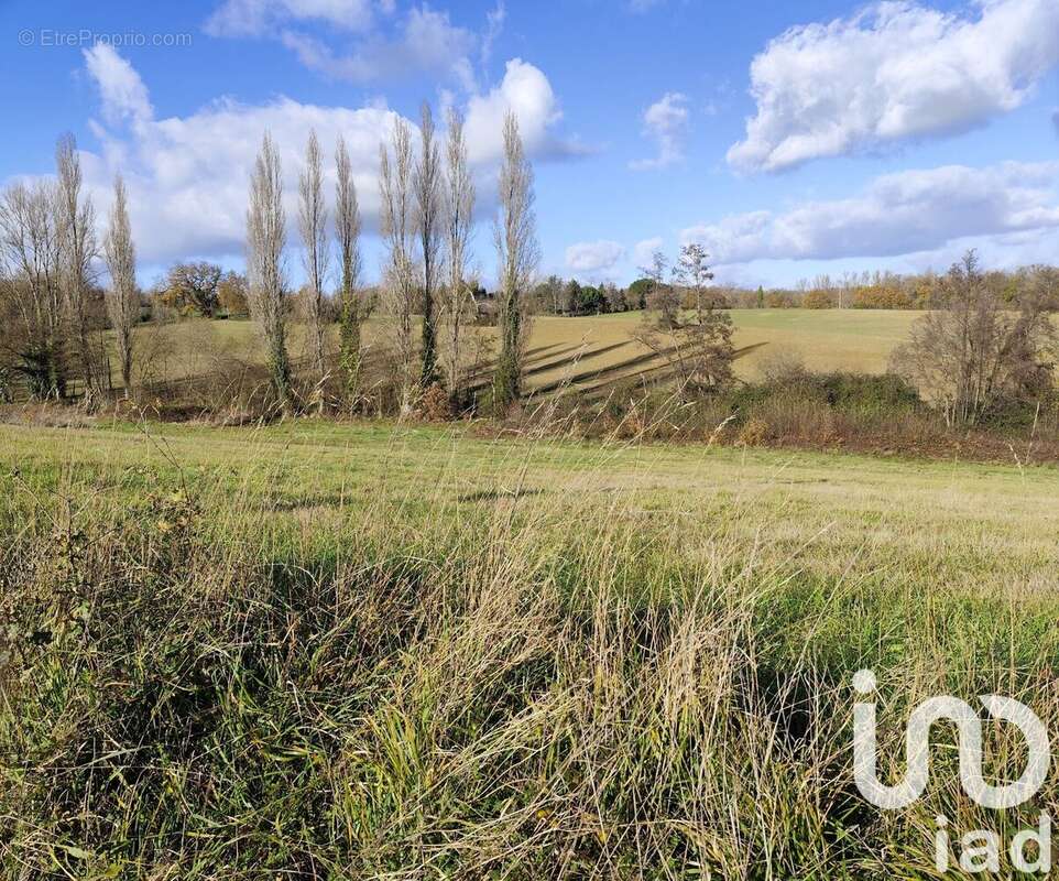 Photo 2 - Terrain à MONTESQUIEU-GUITTAUT