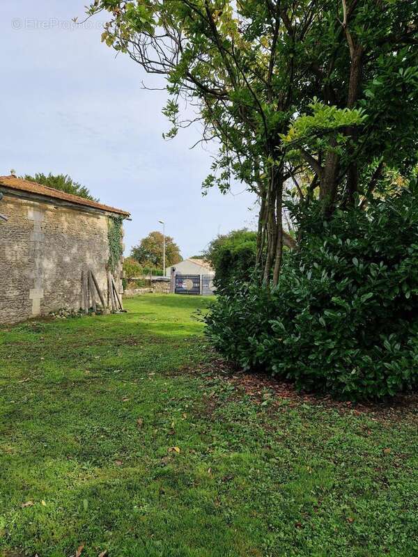 Photo 3 - Maison à SAINT-GENIS-DE-SAINTONGE