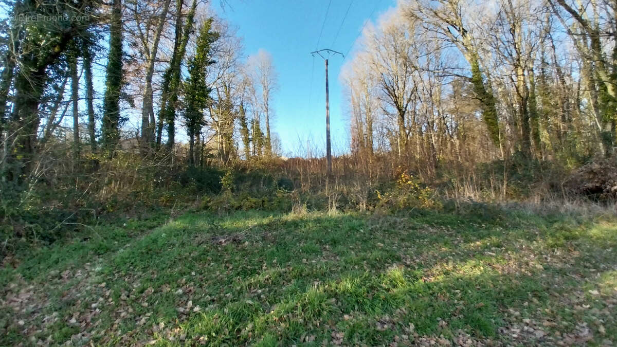 Terrain à CHATEAU-L'EVEQUE