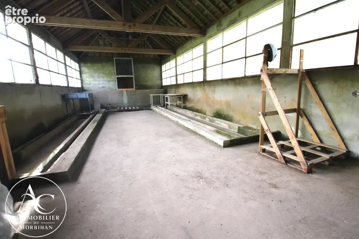 Maison avec dépendances et 10 000 m2 de terrain agricole. - photo 7
