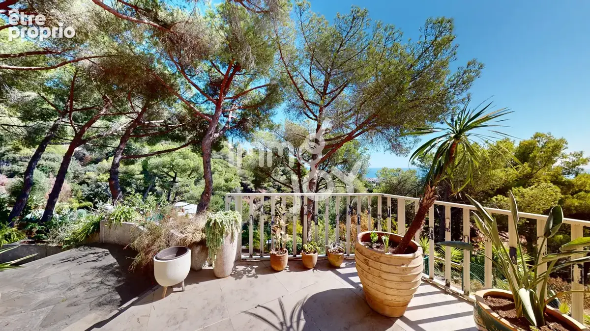 Le reve californien a barcelone - photo 18
