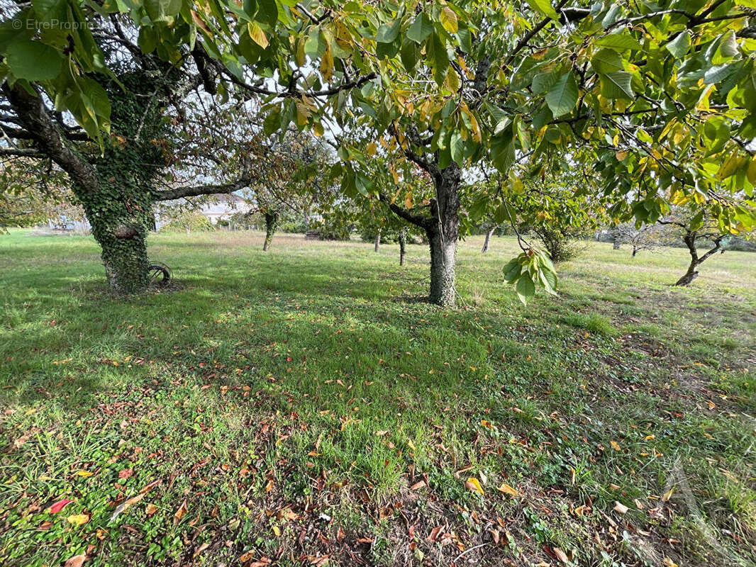 Terrain à CHATEAUROUX