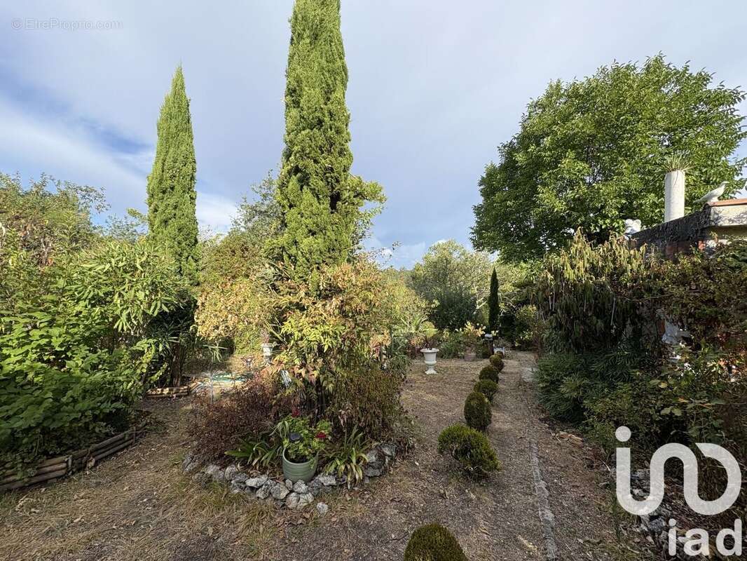 Photo 2 - Terrain à VILLEFRANCHE-DE-LONCHAT