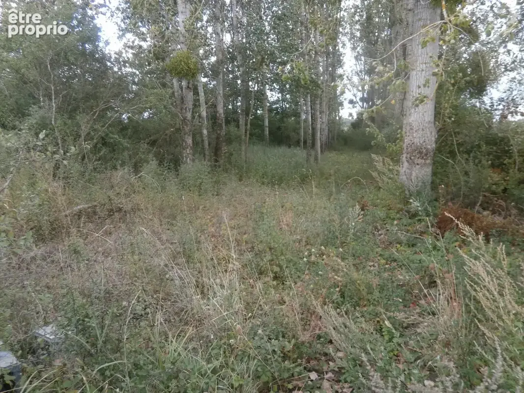 Photo Terrain à Saint-Georges-Sur-La-Pree au prix de 10 000€