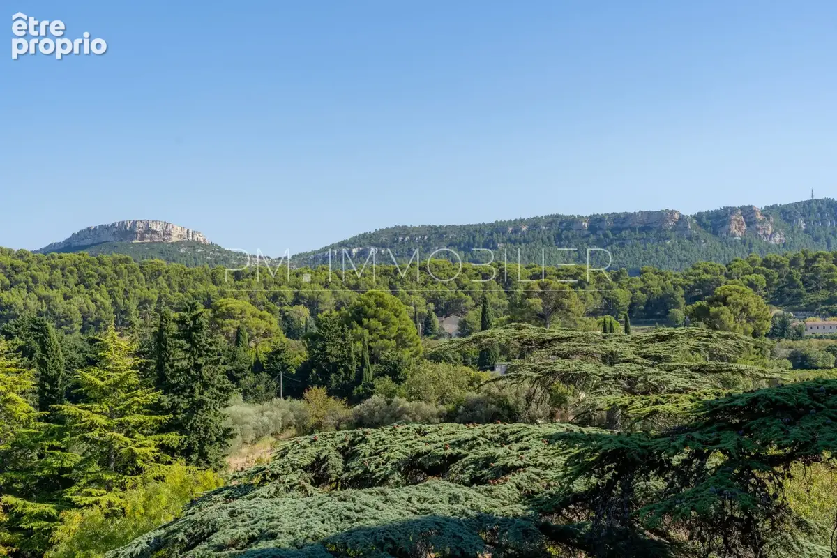 La bastide des cèdres - photo 36