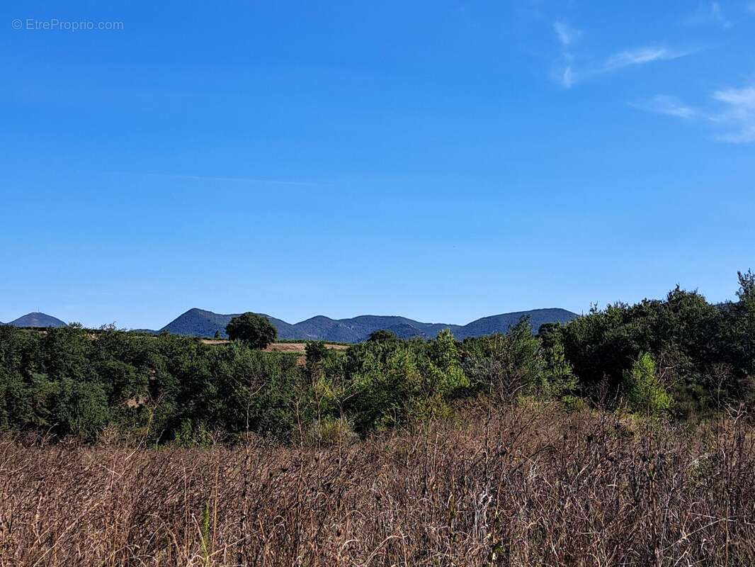 Photo 2 - Terrain à VAISON-LA-ROMAINE