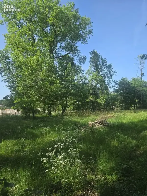 Terrain à bâtir de 1500 m² à SAINT-SELVE (33) - photo 3