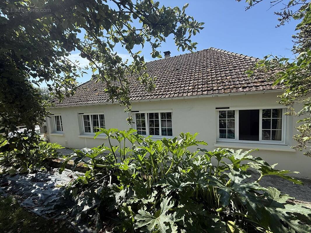 Maison à SAINT-OUEN-LE-HOUX