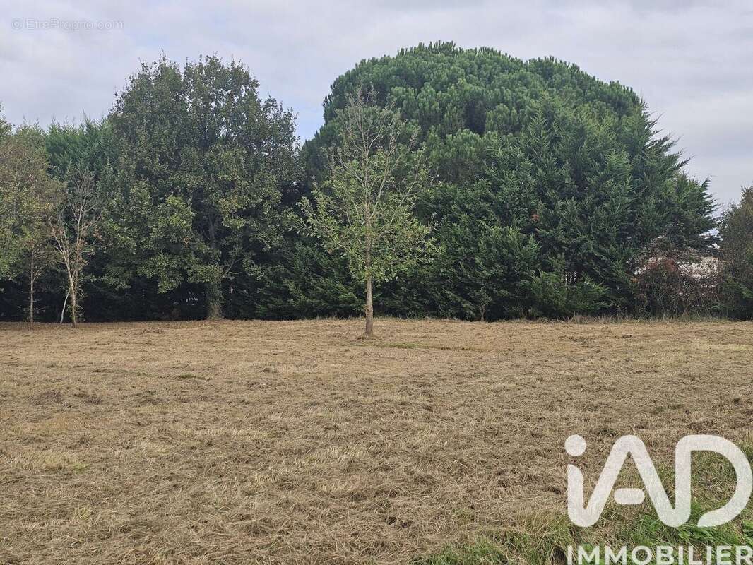 Photo 3 - Terrain à CASTELSARRASIN