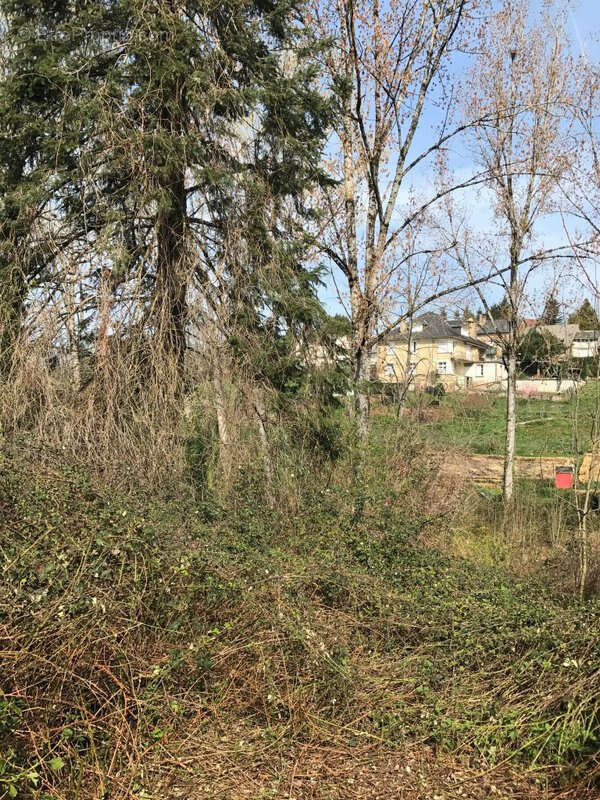 Grande maison de village avec jardin - photo 8