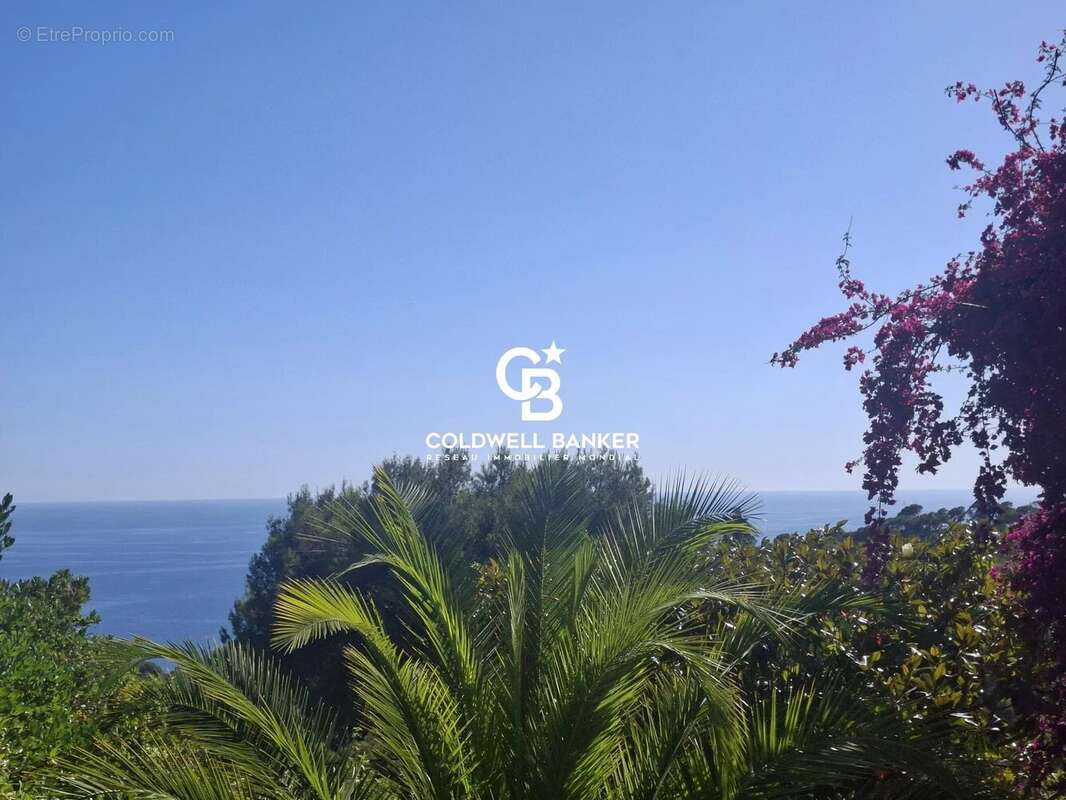 Villa vue mer, domaine privé - 83320 Carqueiranne - photo 27