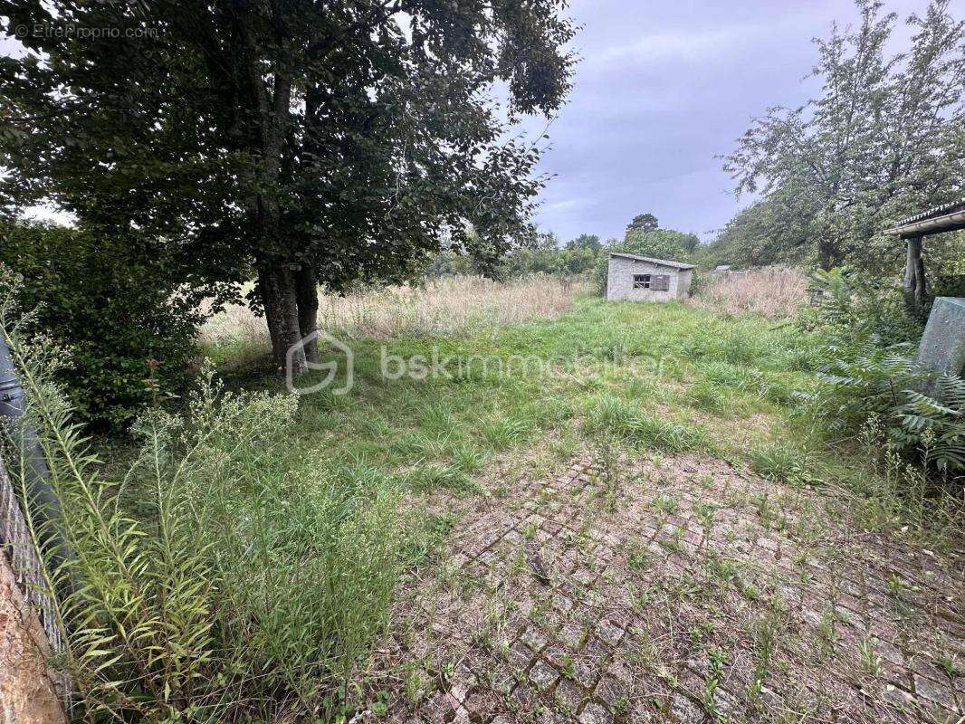 Ancienne ferme - photo 12
