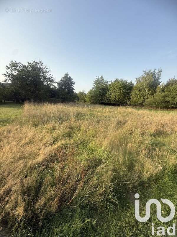 Photo 4 - Terrain à HARGARTEN-AUX-MINES