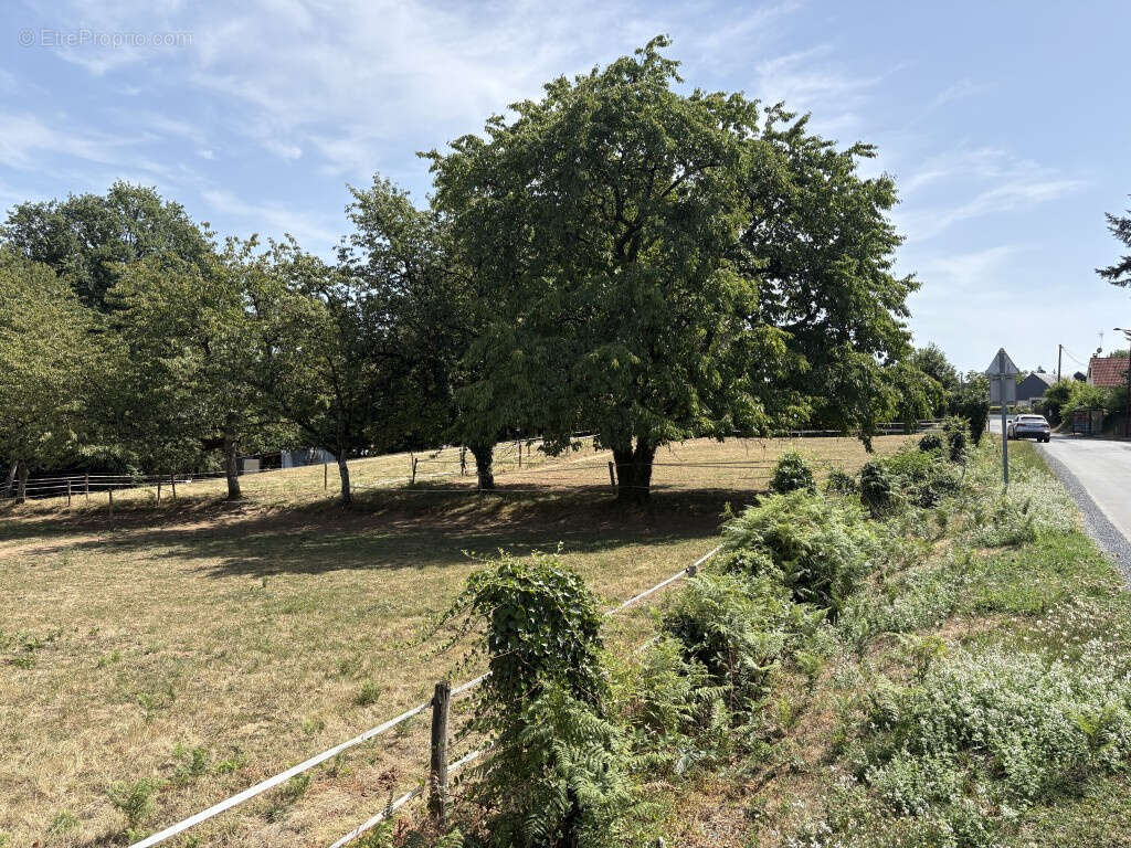 Saint-Sornin Lavolps, en bordure de l'hippodrome - photo 12