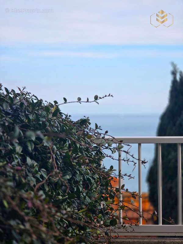 Appartement à ROQUEBRUNE-CAP-MARTIN