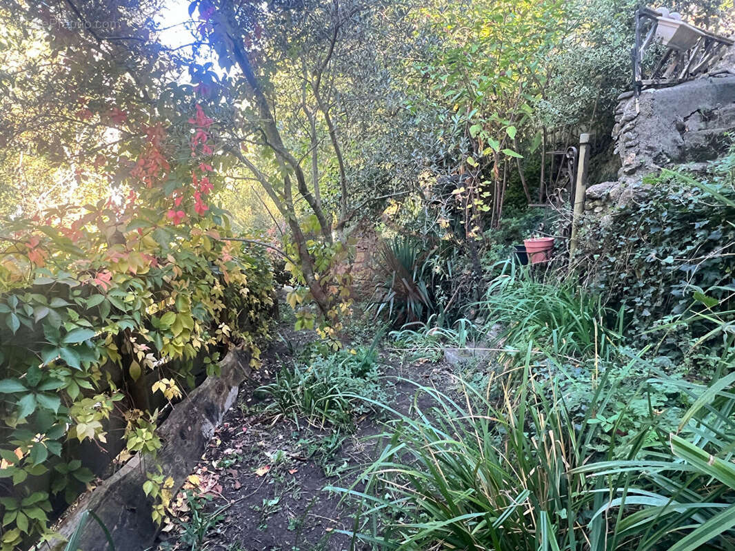 Maison à SAINT-FLORENT-SUR-AUZONNET