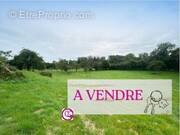 Terrain à SAINT-PIERRE-MONTLIMART