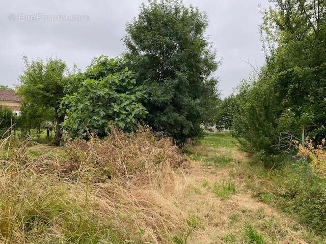 Maison traditionnelle au coeur de Gondrin - photo 5