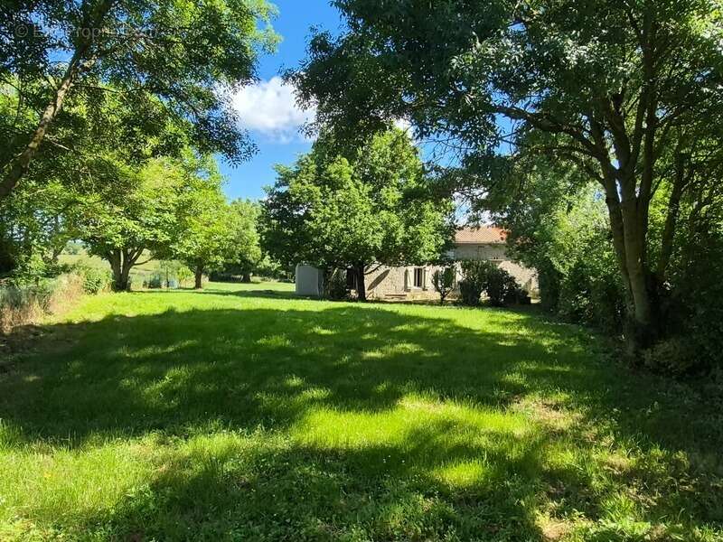 Ensemble immobilier avec 3 maisons sur 5 110 m² – Moragne 17430 - photo 16