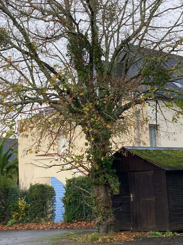 Appartement à FOUESNANT
