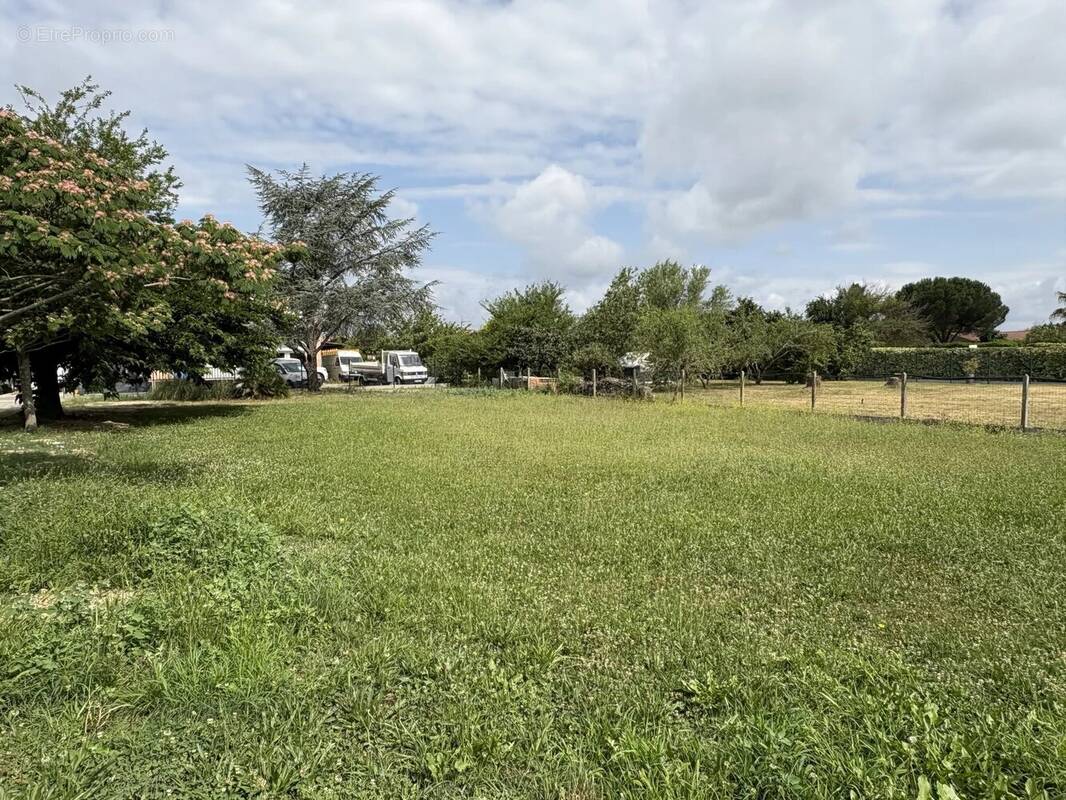 Terrain à LA SALVETAT-SAINT-GILLES