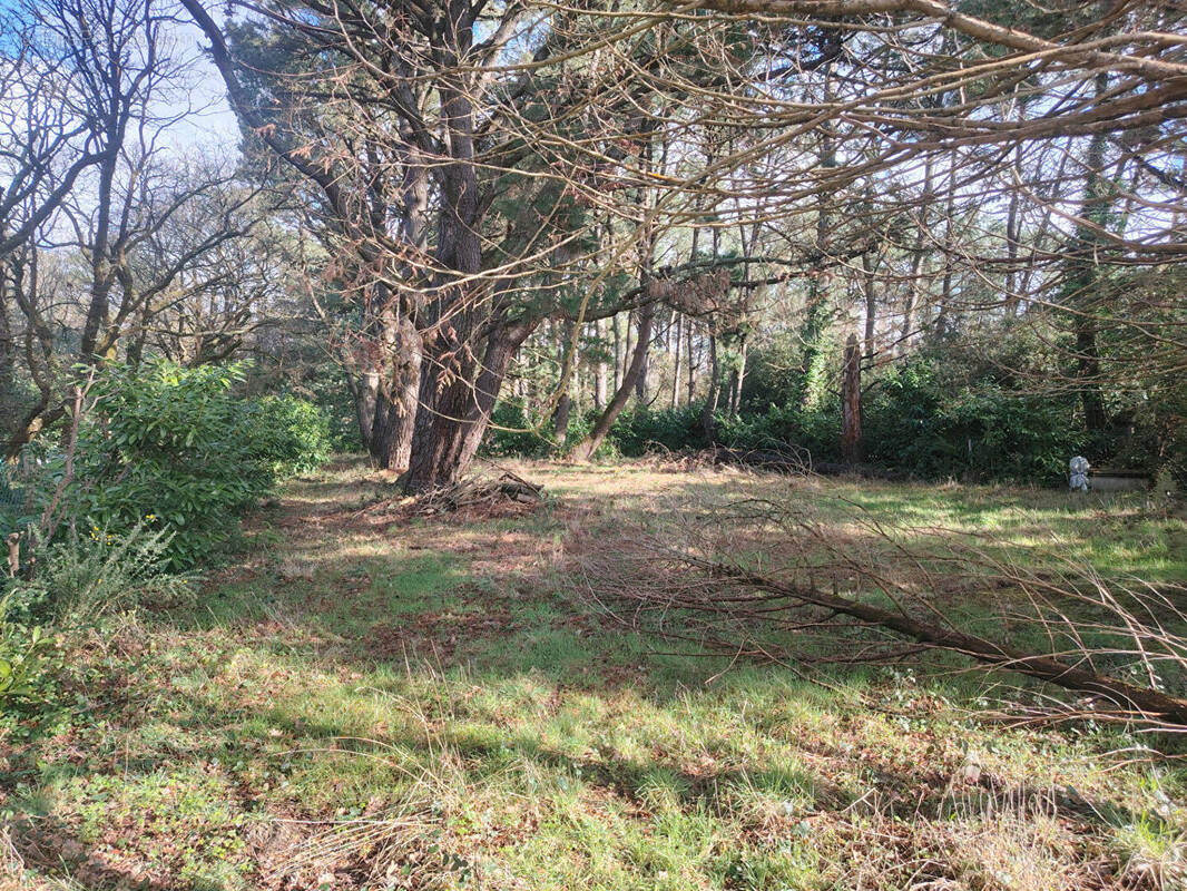 Terrain à SAINT-HILAIRE-DE-RIEZ