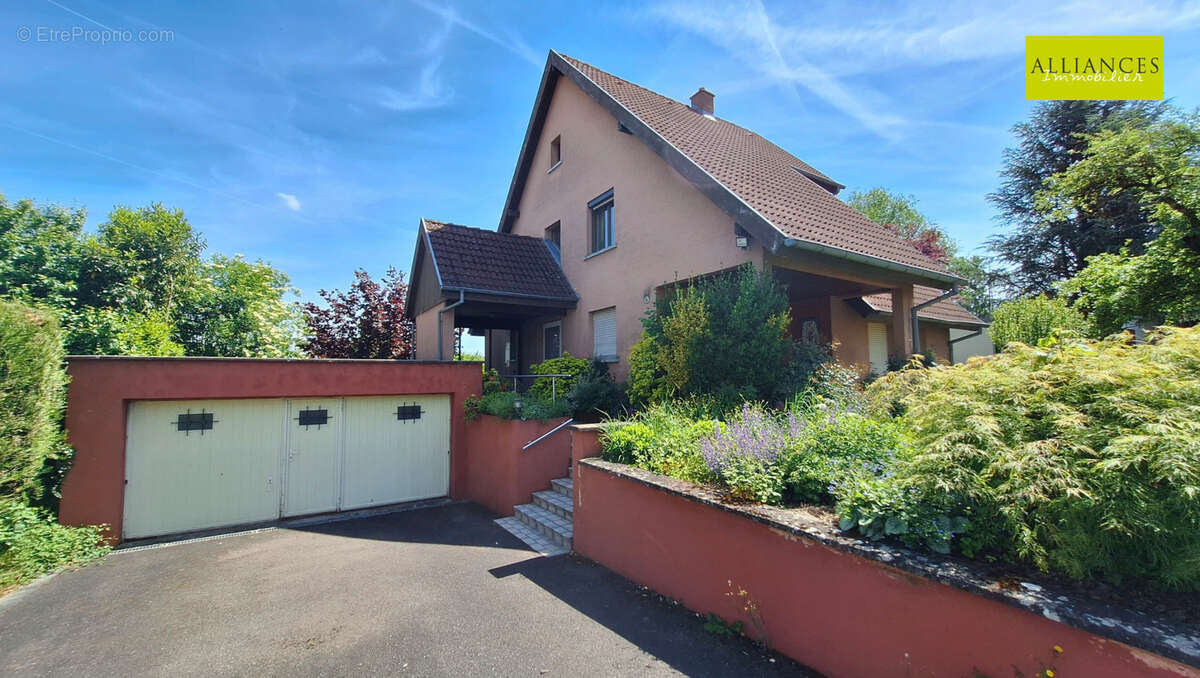 Maison à DANNEMARIE