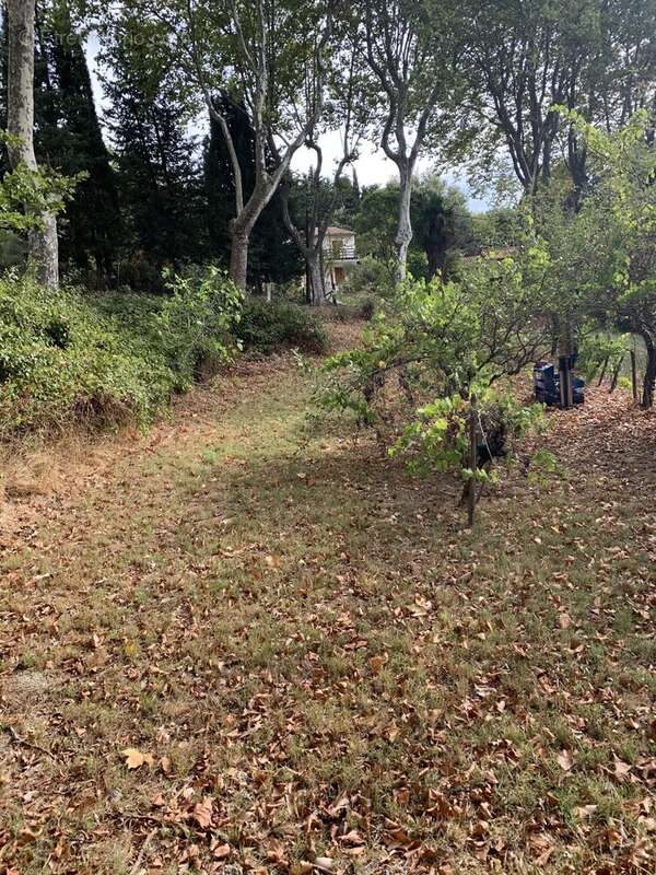 Terrain à CENNE-MONESTIES