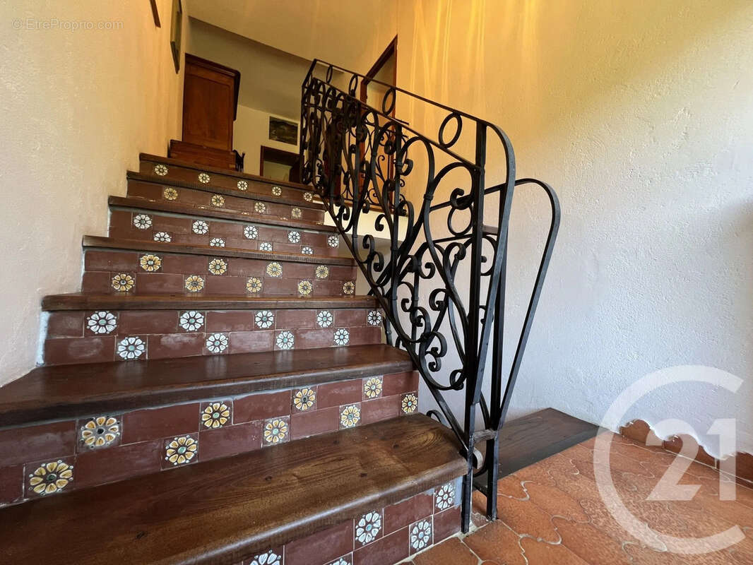 Maison 500 m² à Pruno  - photo 17