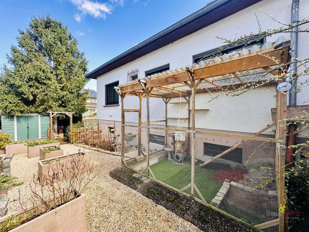 Maison à MUNTZENHEIM