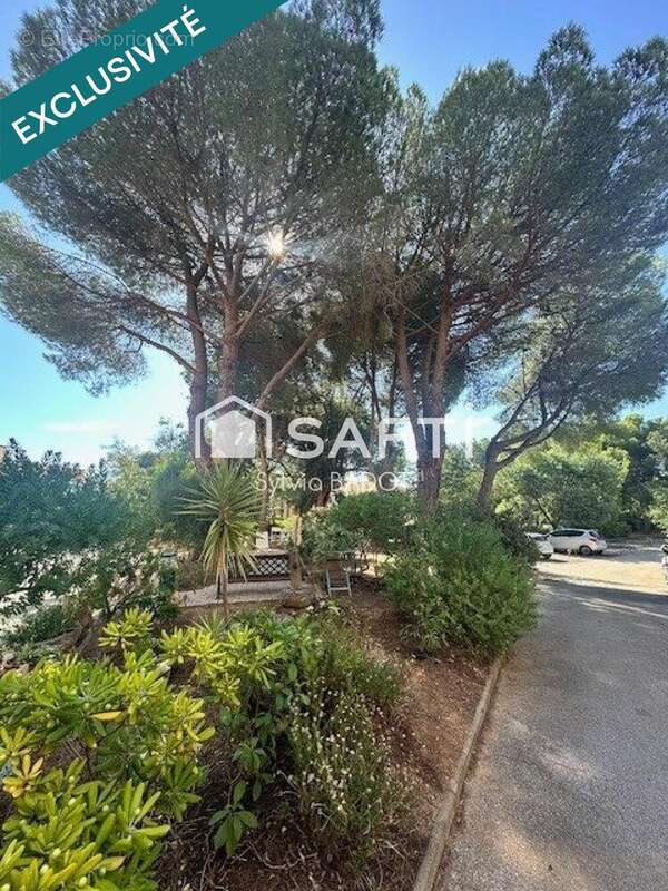 Photo 4 - Appartement à BORMES-LES-MIMOSAS