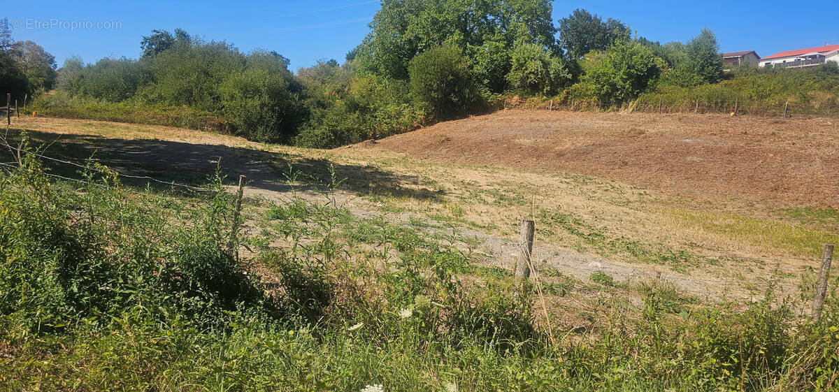 Terrain à THIERS