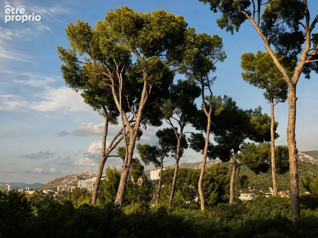 Appartement 2 pièces de 43 m² situé à Marseille - photo 8