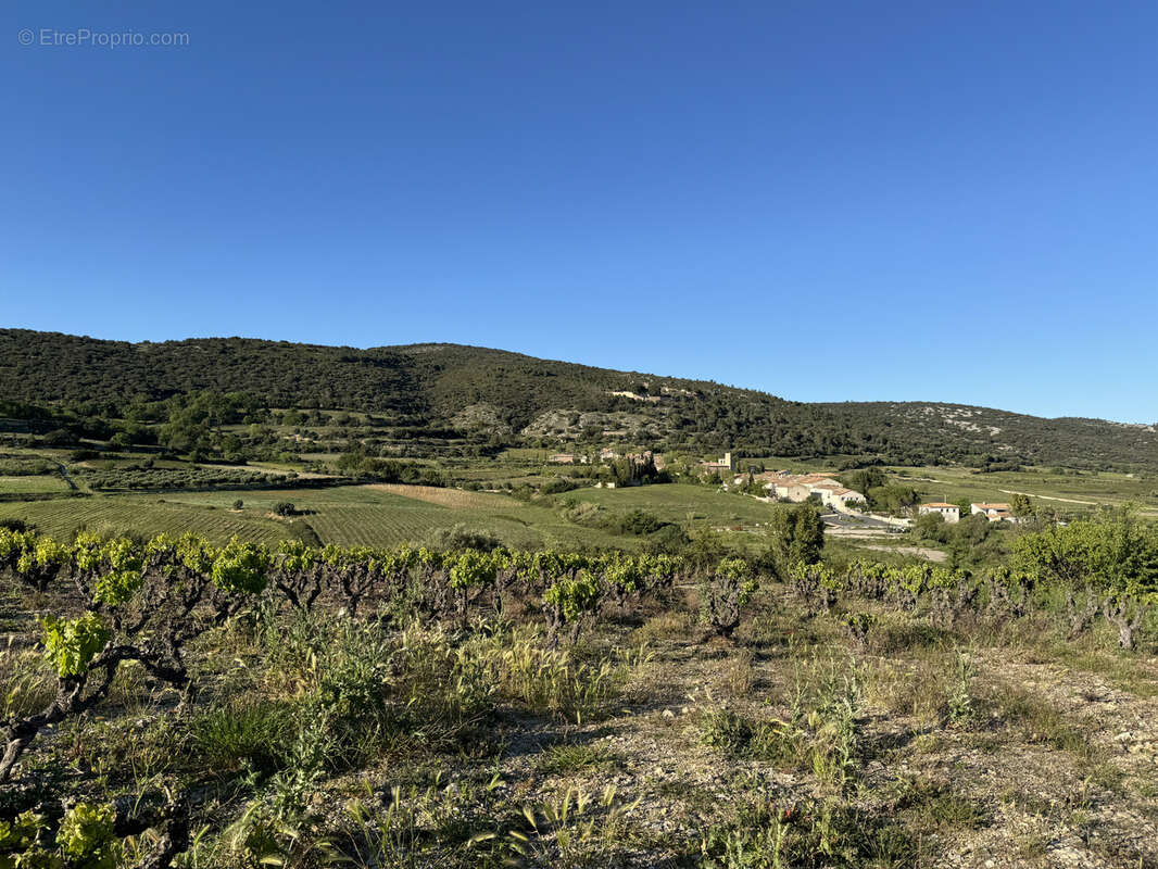 Terrain à MONTPEYROUX