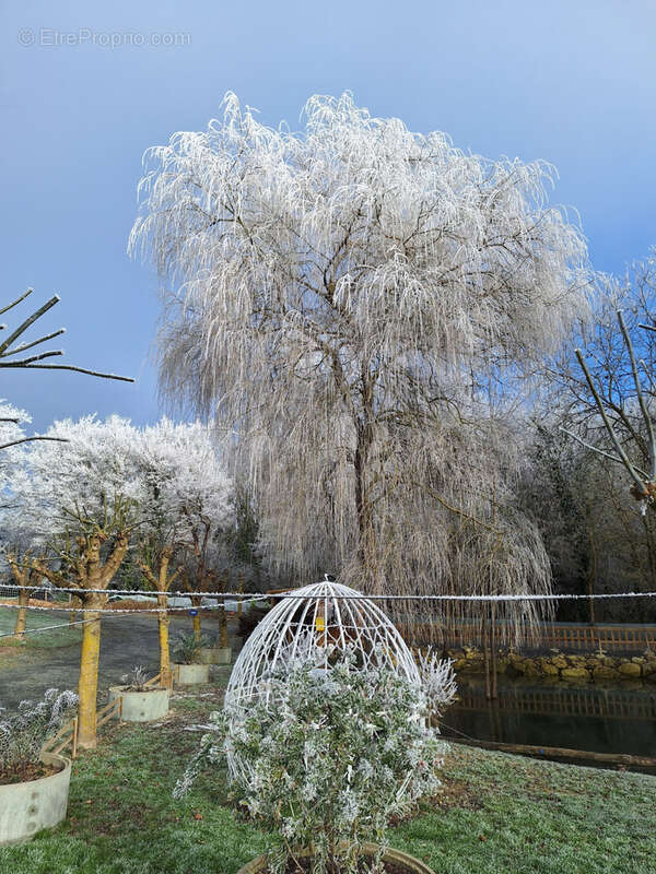 Maison à SAINT-JEAN-SAINT-GERMAIN