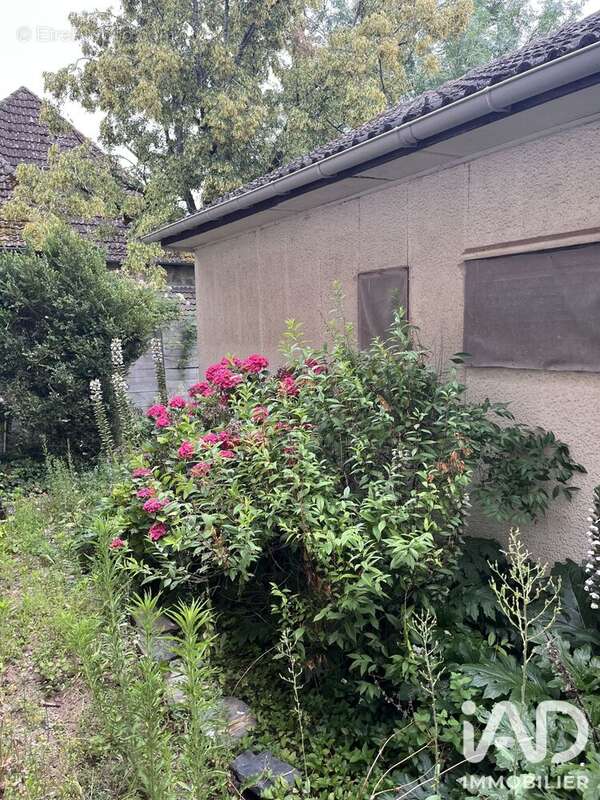 Photo 7 - Maison à ALLASSAC