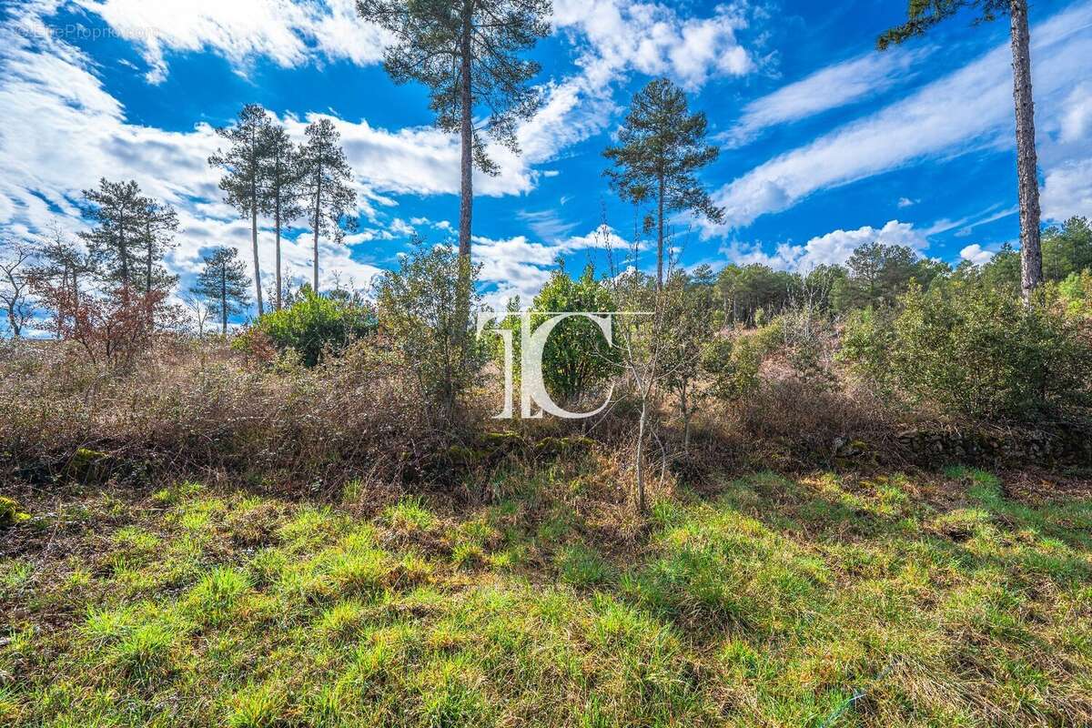 Terrain 9650m² situe plein sud - photo 7