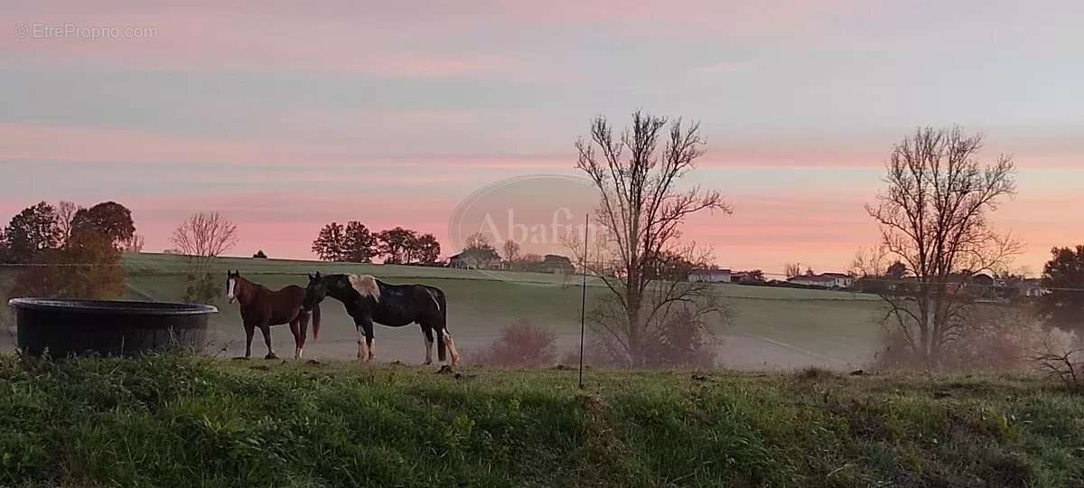 Maison à BOULOGNE-SUR-GESSE