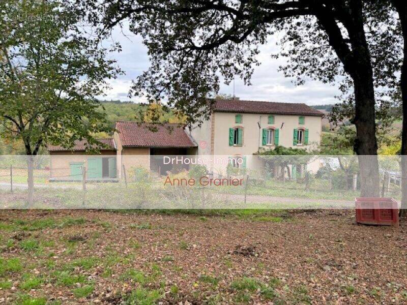 Maison à AMBRES