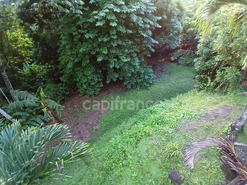 Maison à RIVIERE-PILOTE