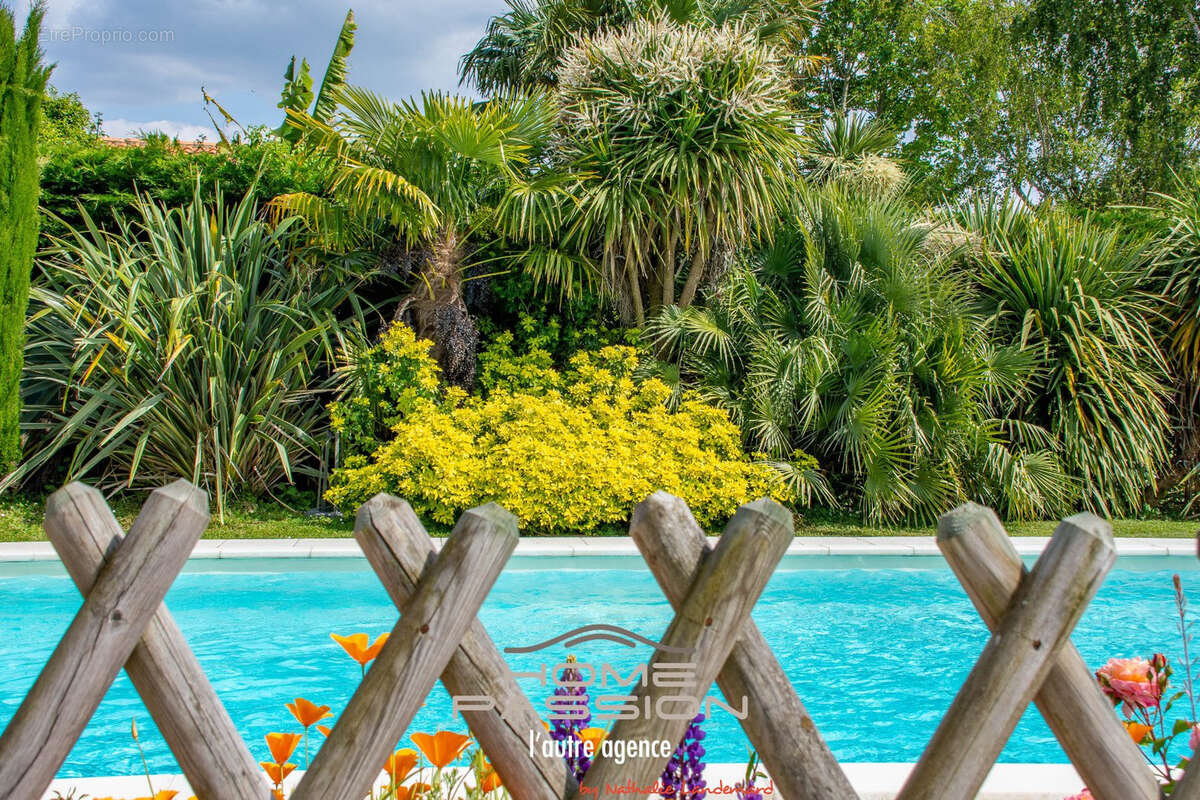 Breuillet - villa avec piscine et belle vue degagee - photo 2