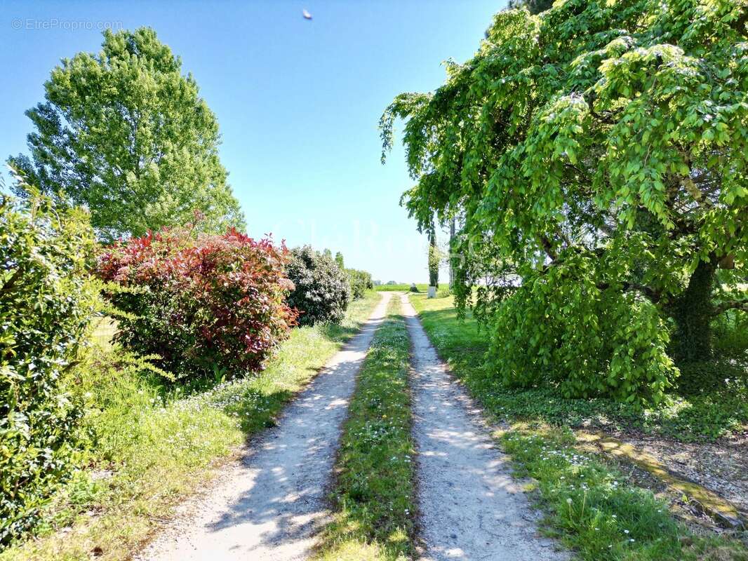 Maison à TOMBEBOEUF