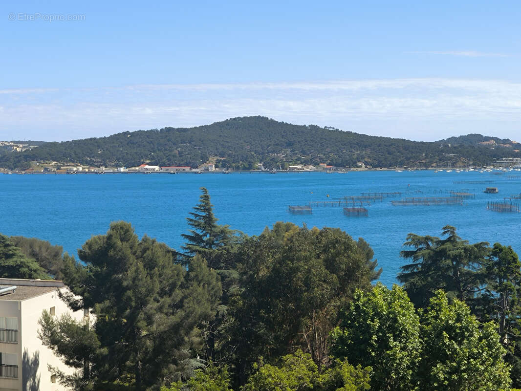 Appartement à LA SEYNE-SUR-MER