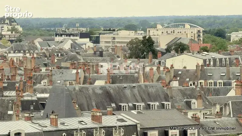 ORLEANS (45) - Gare -  Appartement à rénover T4 109.70 m2 - cave 2 places de parking - Isolation et ravalement - photo 11