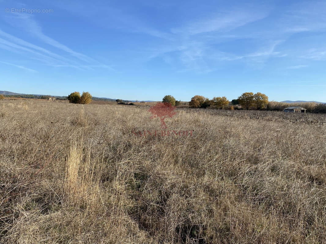 Terrain à SAINT-ANDRE-DE-SANGONIS